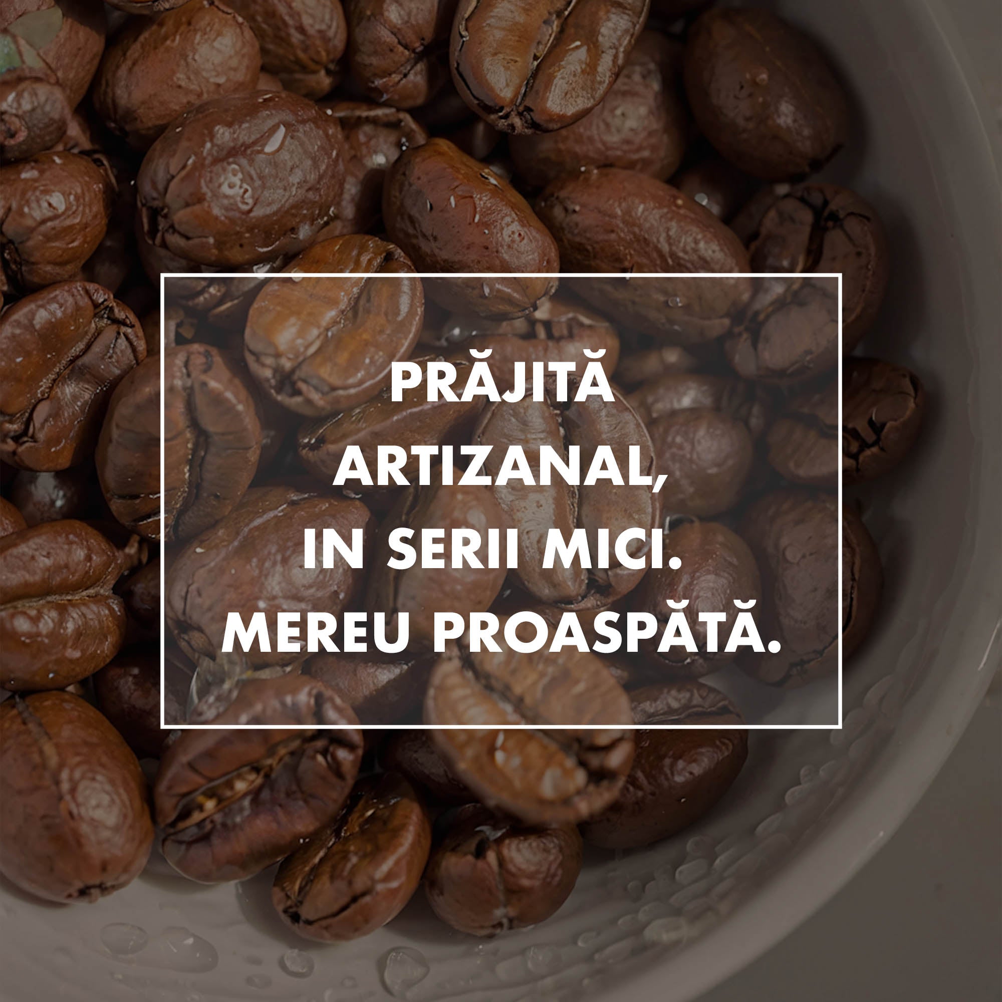 Oltenia Blend